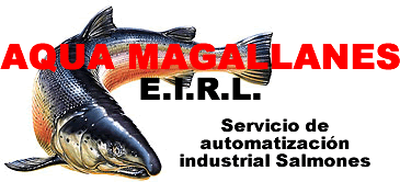 sistema monitoreo alimentacion salmones Internet Aqua Magallanes